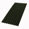 Aquaplan Golfplaat Topline Groen 86X200Cm|Brico Discount