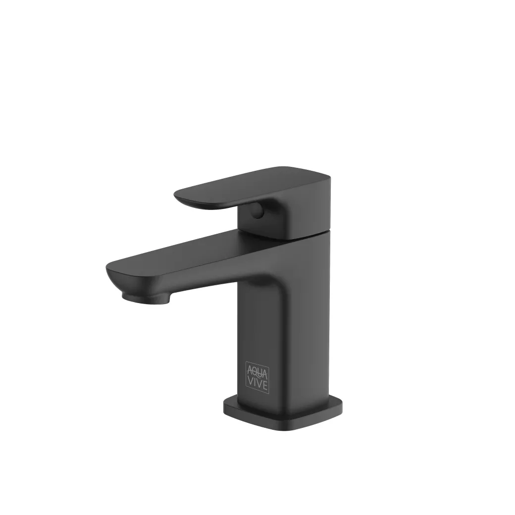 Aquavive Fonteinkraan Irminio R Zwart|Brico Clearance