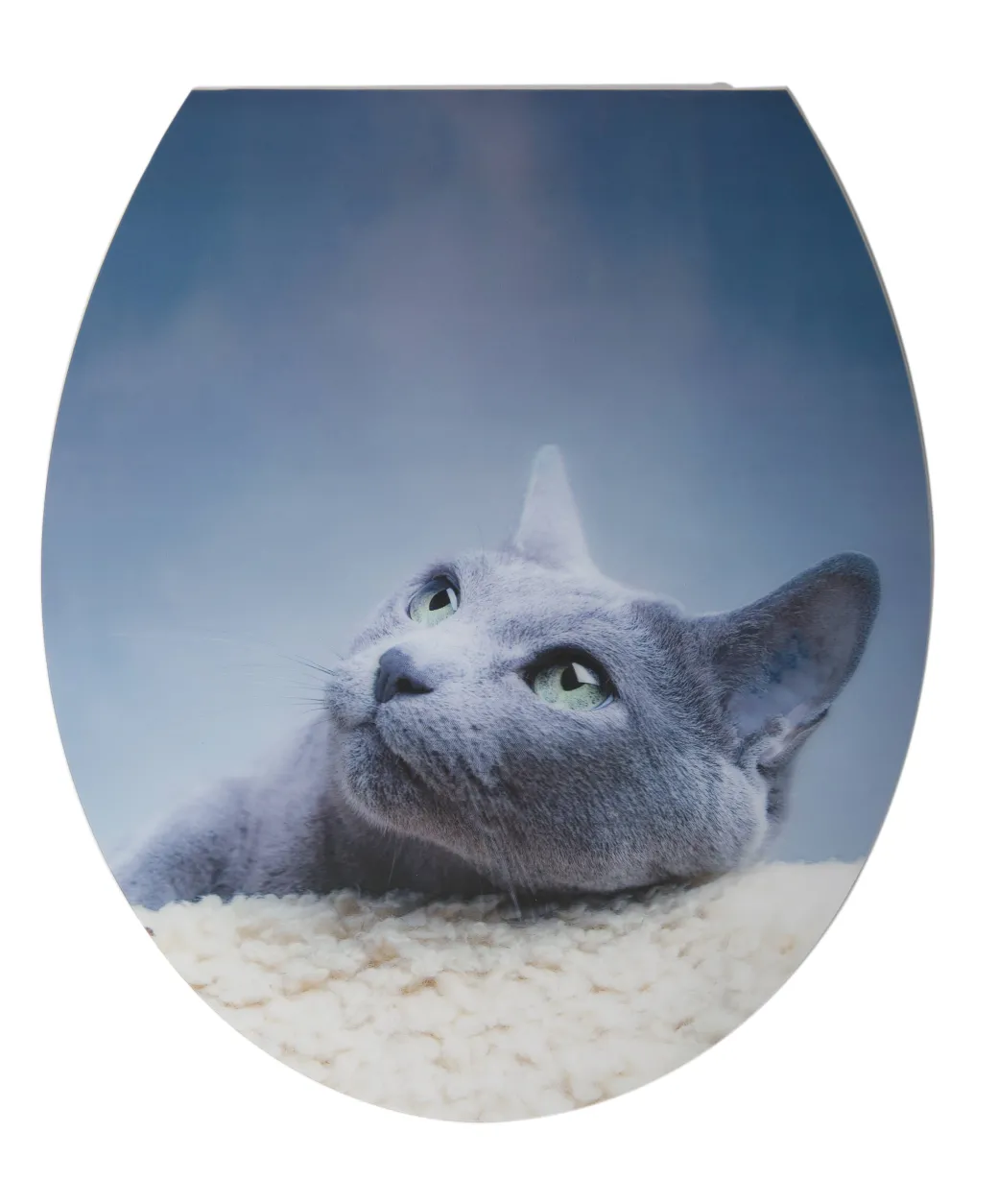 Aquazuro Toiletzitting 3D Kat Duroplast Blauw|Brico Outlet