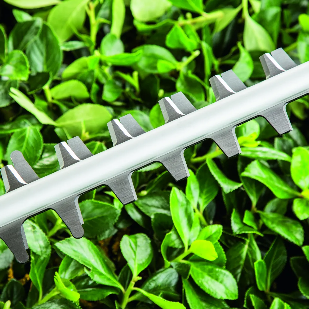 Bosch Heggenschaar Advancedhedgecut 65 (Mesafdekking)|Brico Sale