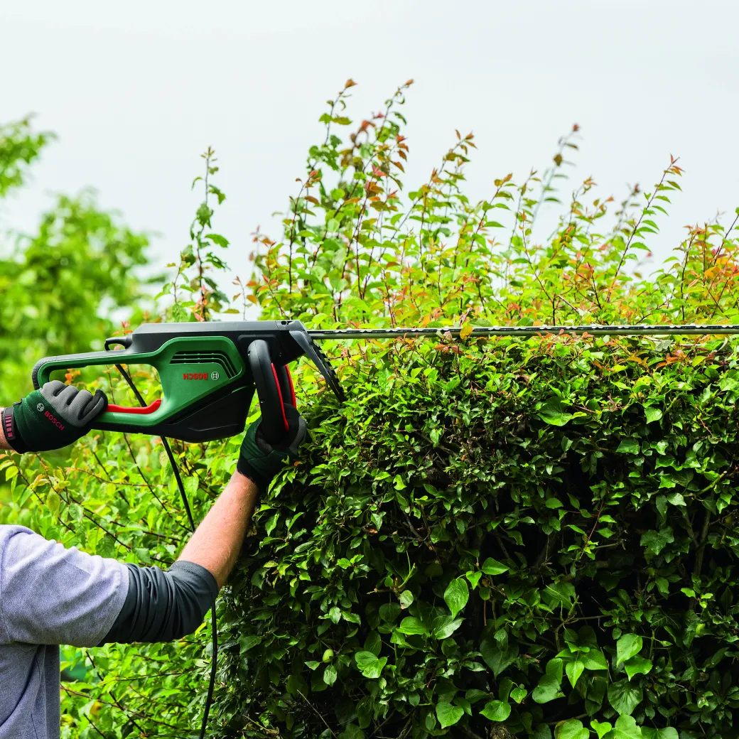 Bosch Heggenschaar Advancedhedgecut 65 (Mesafdekking)|Brico Sale
