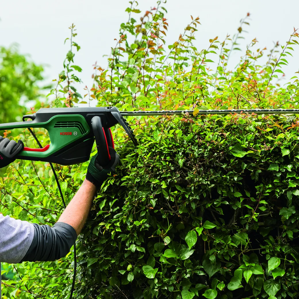 Bosch Heggenschaar Advancedhedgecut 65 (Mesafdekking)|Brico Sale