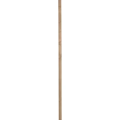 Cando Steigerhout Vuren 30X62X2500Mm Verouderd|Brico Outlet