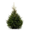 Central Park Kerstboom Epicea 125-150Cm|Brico Discount