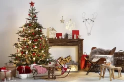 Central Park Kerstboom Nordmann 80-100Cm|Brico Discount