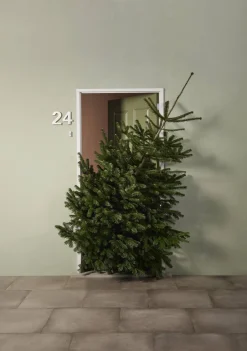 Central Park Kerstboom Nordmann 175-200Cm|Brico Best