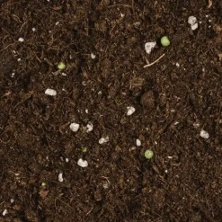 Brico Potgrond-Compo Bio Potgrond Ca. 50% Lichter 40L
