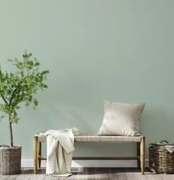 Brico Muurverf-Decoverf Muurverf Saliegroen, 4L