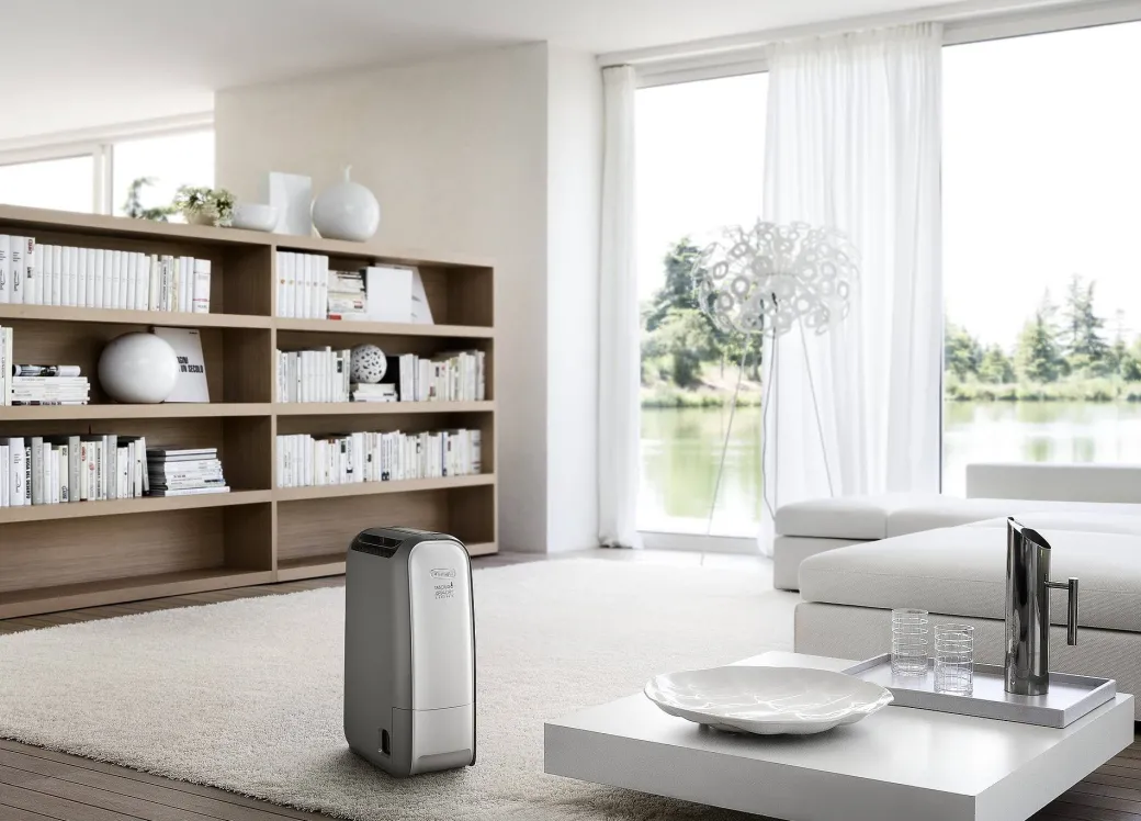 De'Longhi Luchtontvochtiger Dns80|Brico