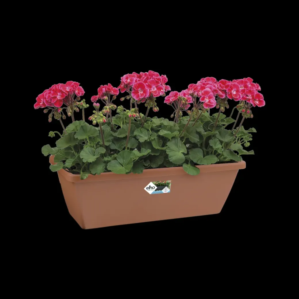 Brico Plantenpotten En -Bakken-Elho Balkonbak Barcelona 50Cm Terra