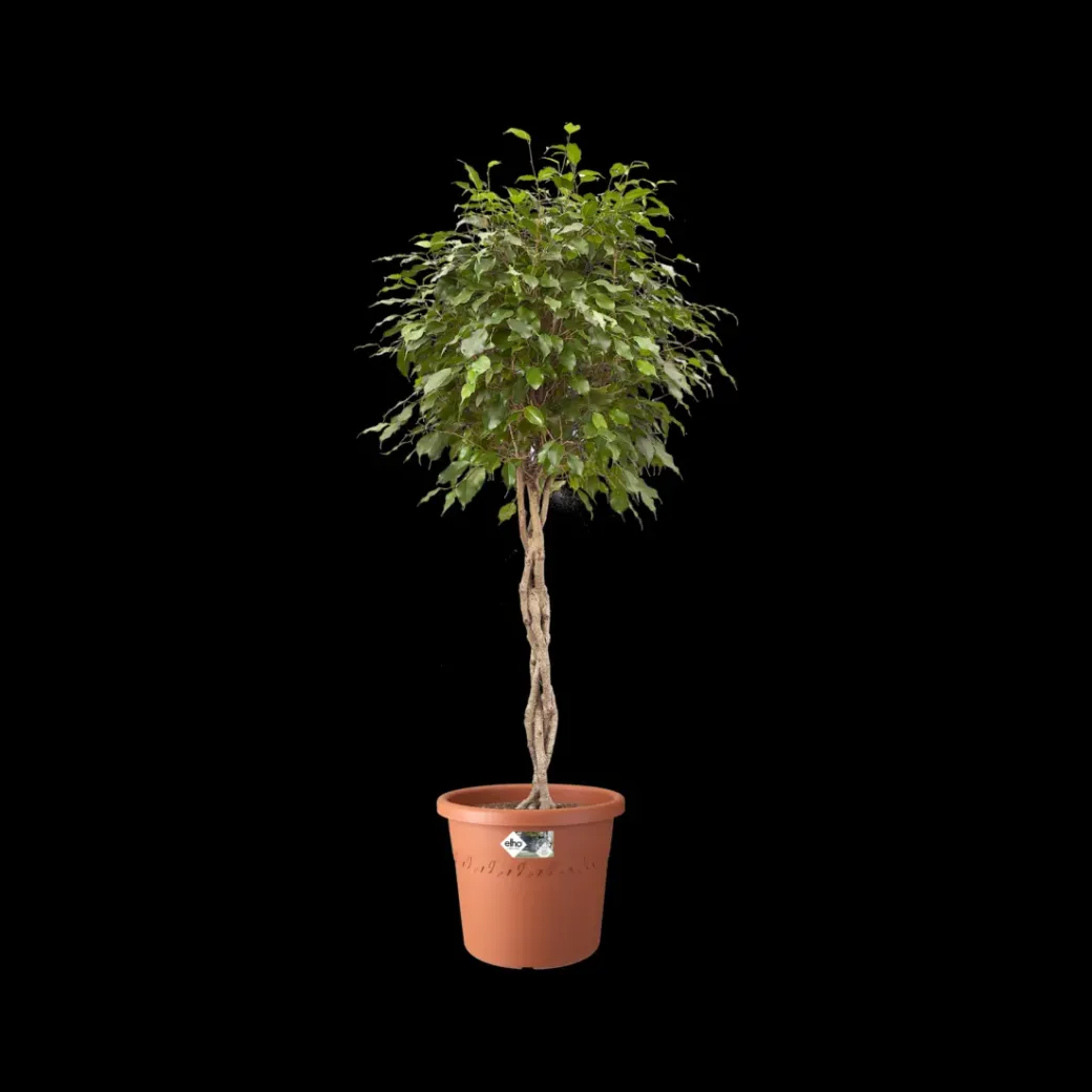 Brico Plantenpotten En -Bakken-Elho Bloempot Algarve Cilindro Rond O35Cm Terra