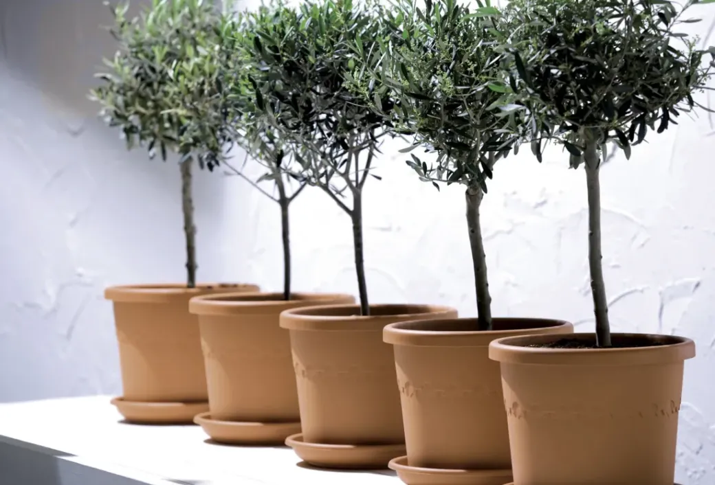 Brico Plantenpotten En -Bakken-Elho Bloempot Algarve Cilindro Rond Wielen O48Cm Terra