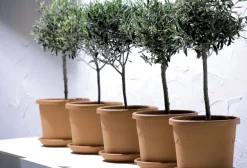 Brico Plantenpotten En -Bakken-Elho Bloempot Algarve Cilindro Rond Wielen O40Cm Terra