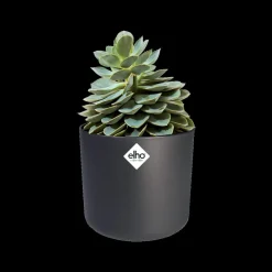 Brico Plantenpotten En -Bakken-Elho Bloempot B. For Soft Rond O14Cm Antraciet
