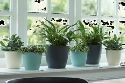 Brico Plantenpotten En -Bakken-Elho Bloempot Brussels Rond O25Cm Wit
