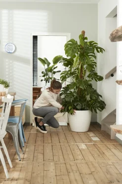 Brico Plantenpotten En -Bakken-Elho Bloempot Brussels Rond Wielen O35Cm Wit