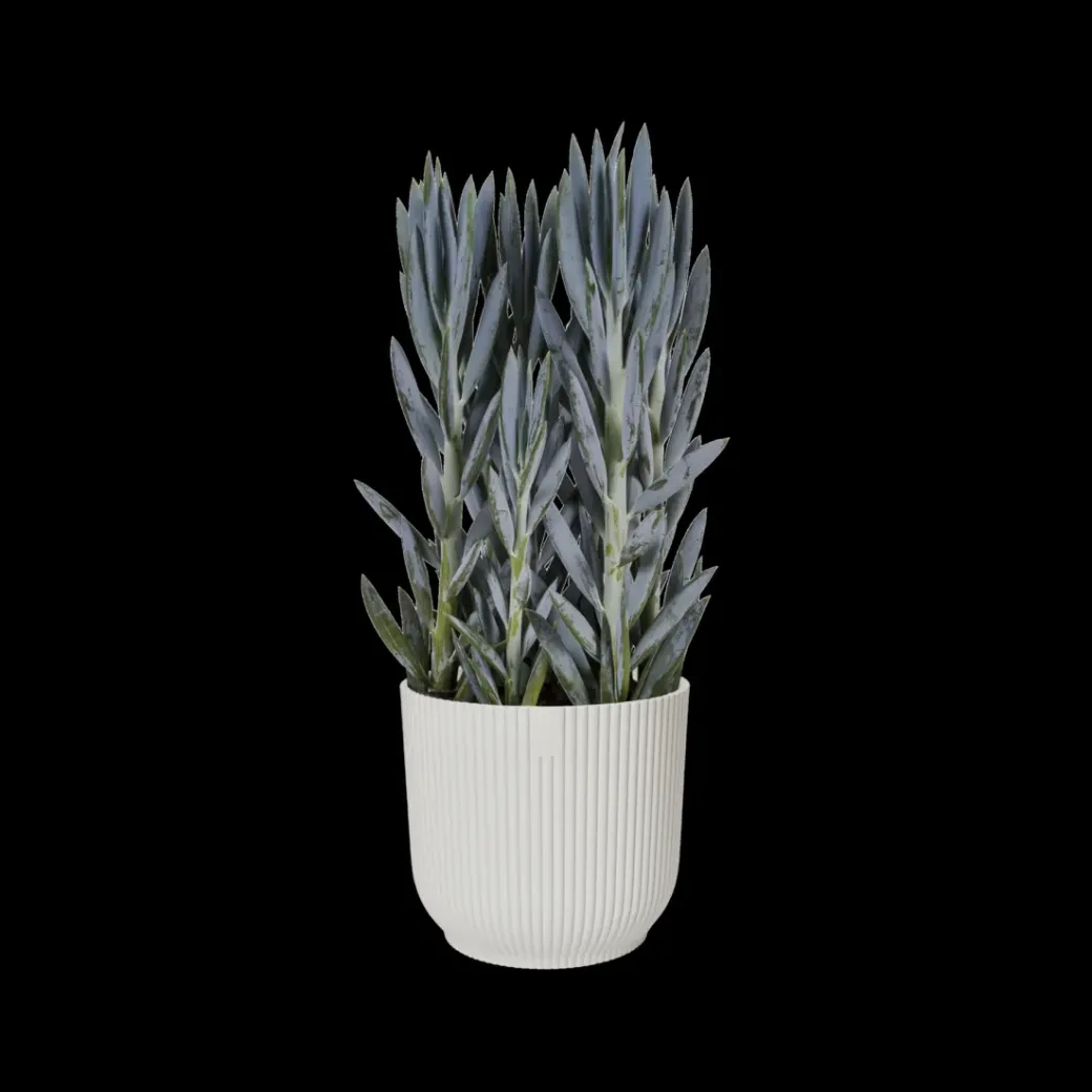 Brico Plantenpotten En -Bakken-Elho Bloempot Vibes Fold Rond O30Cm Wit