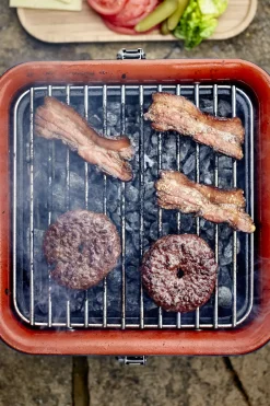 Brico Houtskool Barbecue-Everdure Cube Houtskool Barbecue Grijs 38,4X31,6X22,4Cm