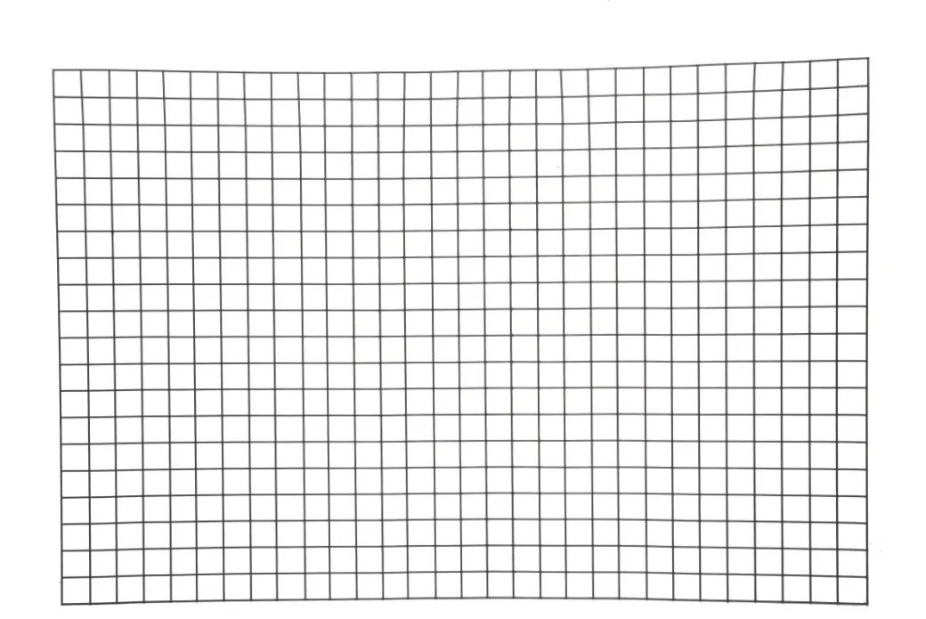 Brico Draadpanelen En Afrastering-Giardino Gaaspaneel Bari Vuurverzinkt 180X90Cm