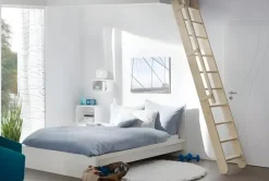 Brico Zoldertrappen-Handystairs Uitschuifbare Steektrap "Montreal" - Hoogte 300Cm - 12 Treden Van Beuken - Met Leuning