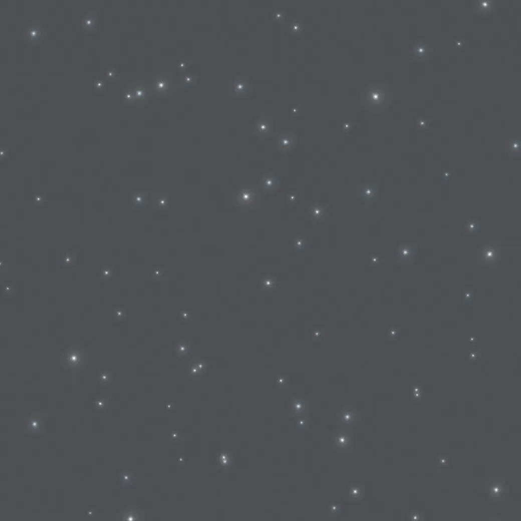 Brico Decoratieve Verf-Id Glitterverf Paillett' Studio 2L