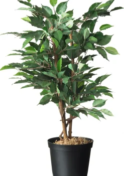 Brico Plantenpotten En -Bakken-Nature Tuinplantcontainers 5L H18Xo22,5Cm 2 Stuks