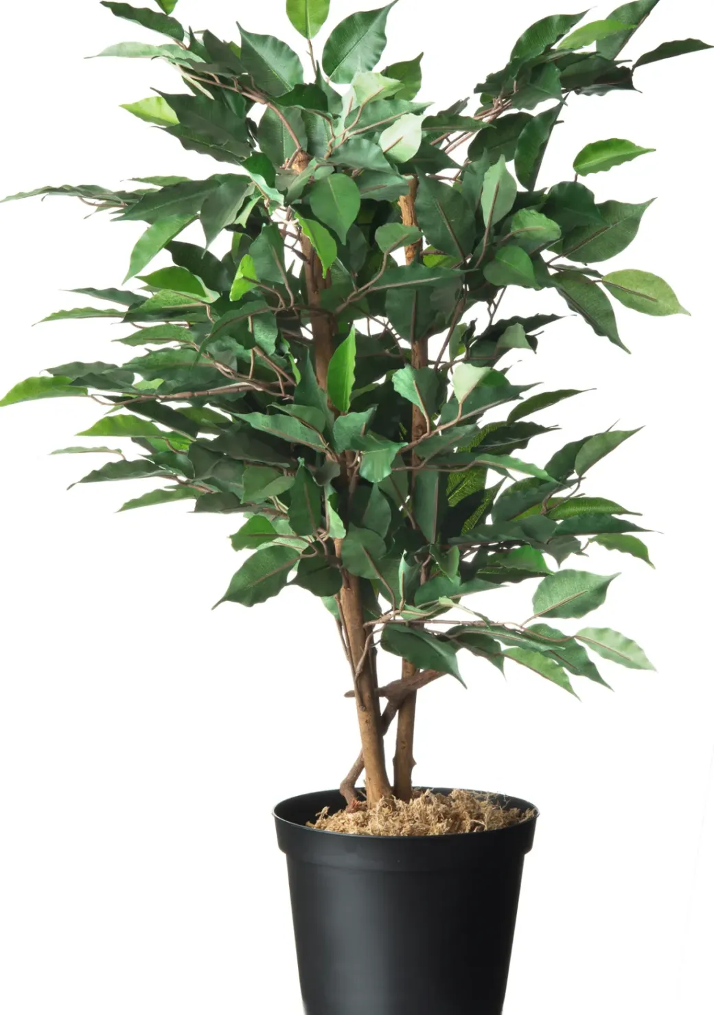 Brico Plantenpotten En -Bakken-Nature Tuinplantcontainers 5L H18Xo22,5Cm 2 Stuks