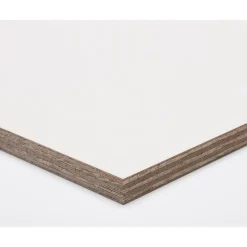 Paintplex Multiplex Plaat 122X244Cm 15Mm|Brico Online