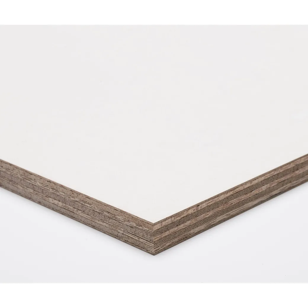 Paintplex Multiplex Plaat 122X244Cm 15Mm|Brico Online