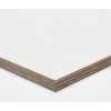Paintplex Multiplex Plaat 122X244Cm 18Mm|Brico Outlet
