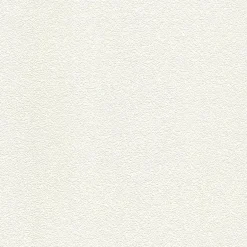 Brico Behangpapier-Papierbehang Uni Wit 150640