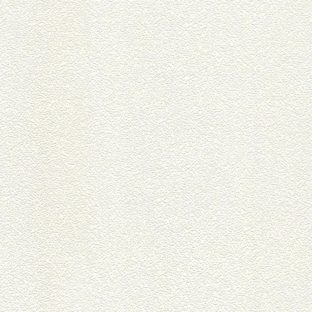 Brico Behangpapier-Papierbehang Uni Wit 150640