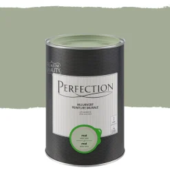 Brico Muurverf-Perfection Ultradekkende Muurverf Aloe Vera Mat 1L