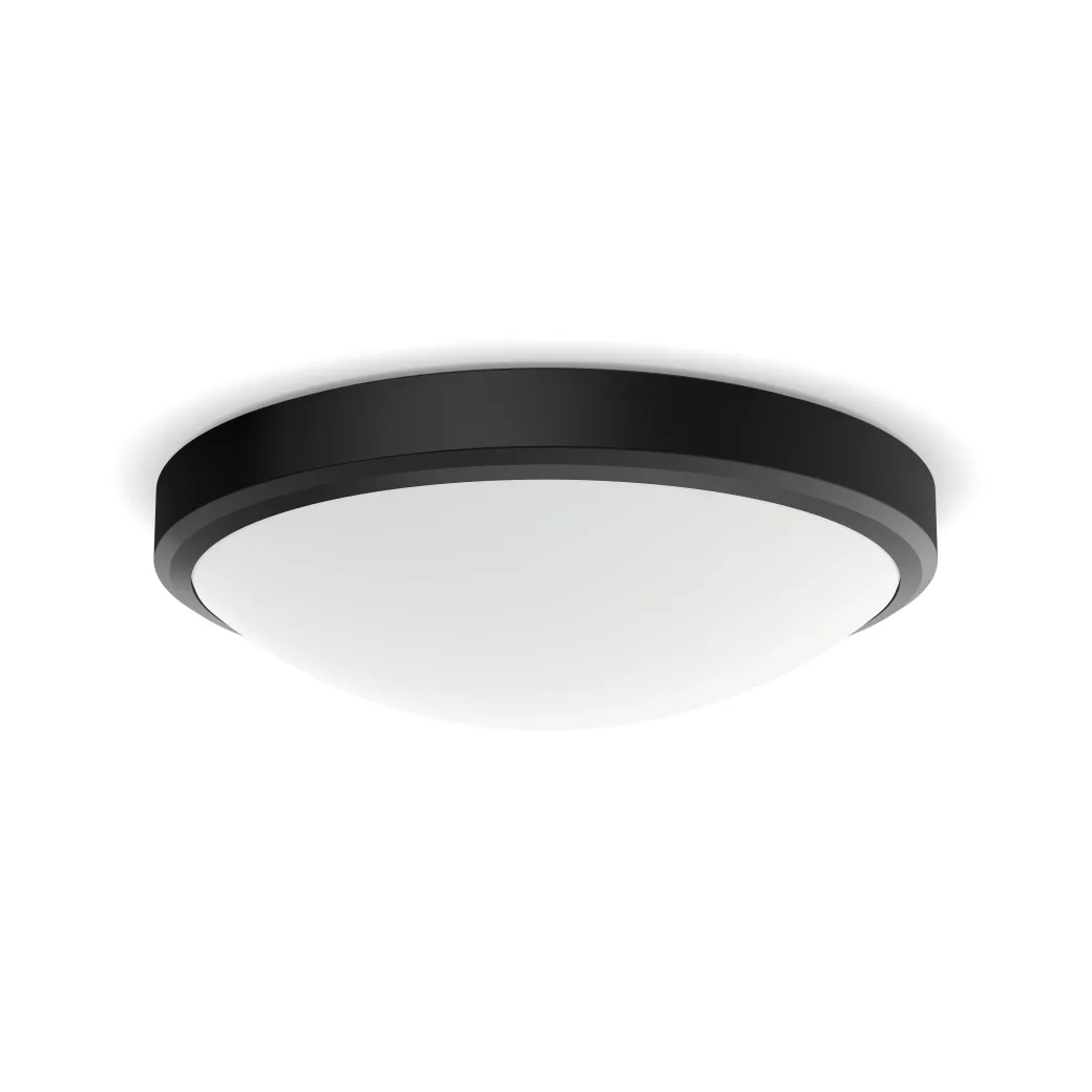 Philips Plafondlamp Doris Zwart O31,3Cm 17W|Brico Discount