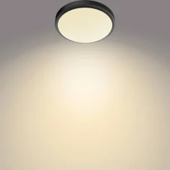 Philips Plafondlamp Doris Zwart O31,3Cm 17W|Brico Discount