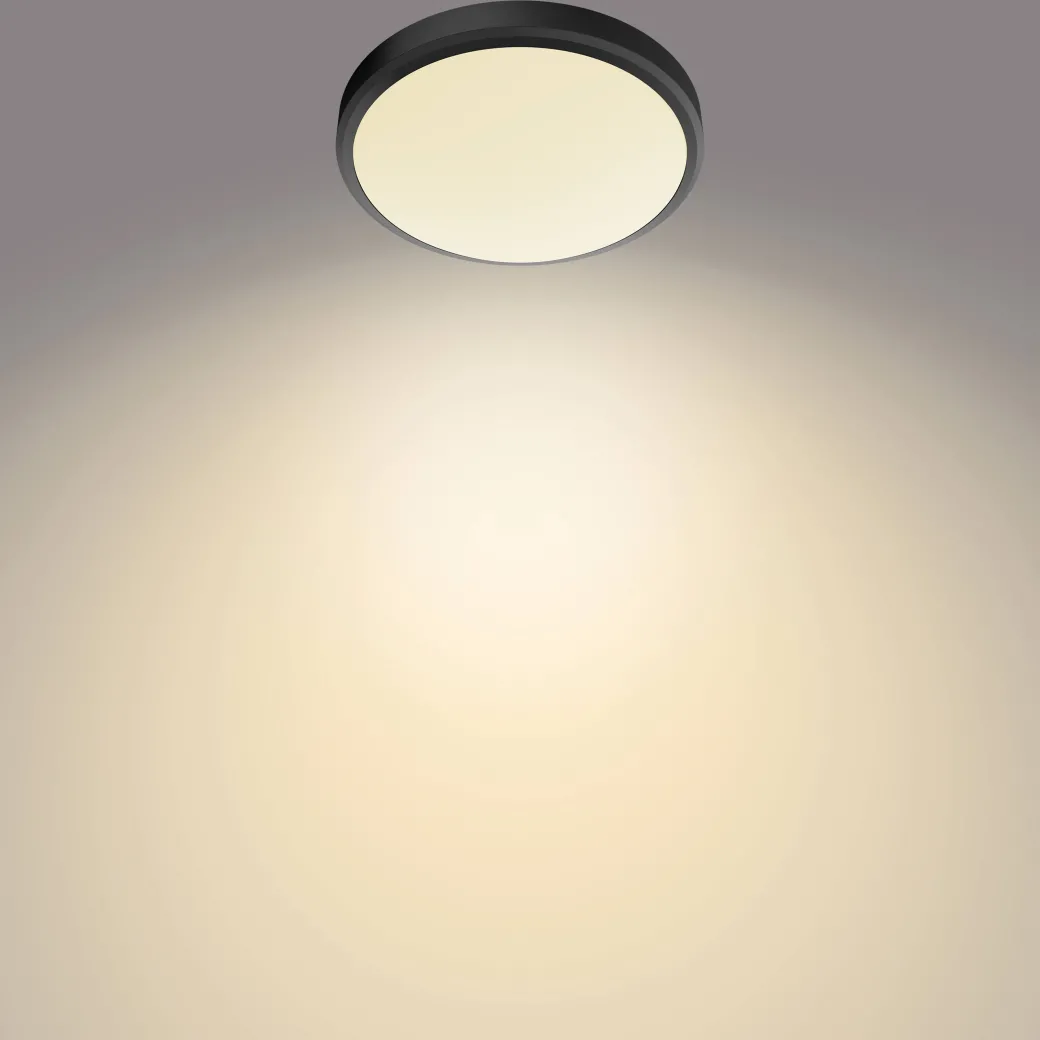 Philips Plafondlamp Doris Zwart O31,3Cm 17W|Brico Discount