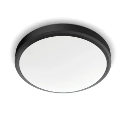 Philips Plafondlamp Doris Zwart O31,3Cm 17W|Brico Discount