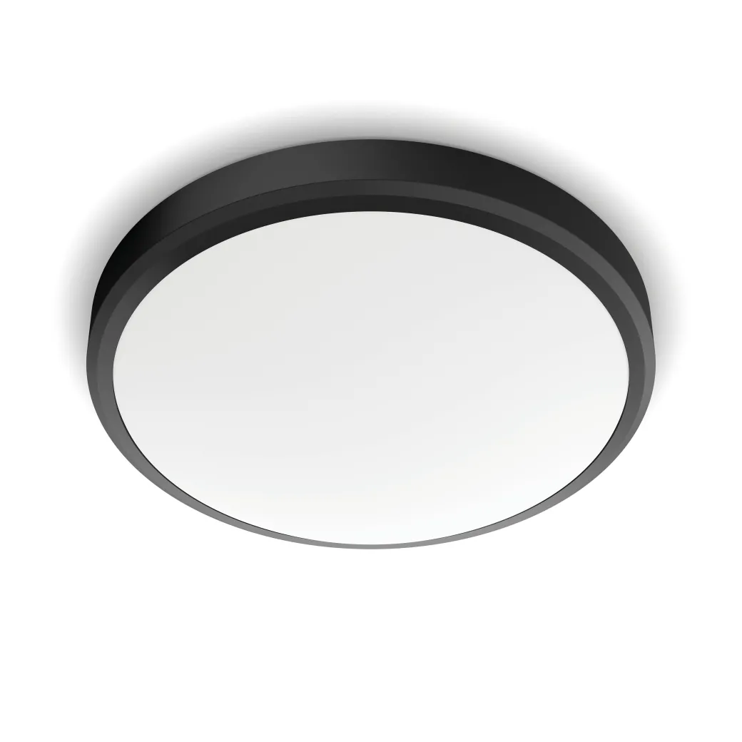 Philips Plafondlamp Doris Zwart O31,3Cm 17W|Brico Discount