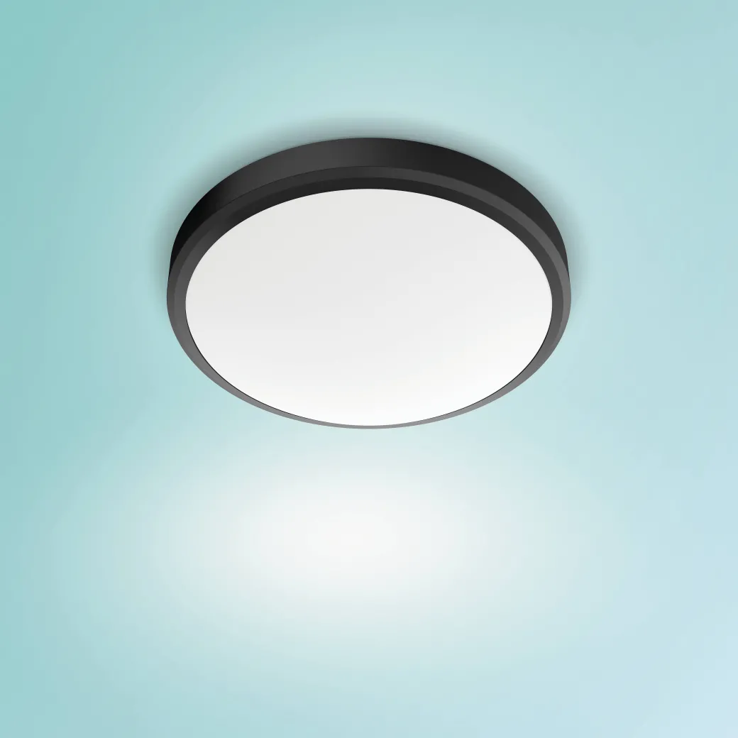 Philips Plafondlamp Doris Zwart O31,3Cm 17W|Brico Discount