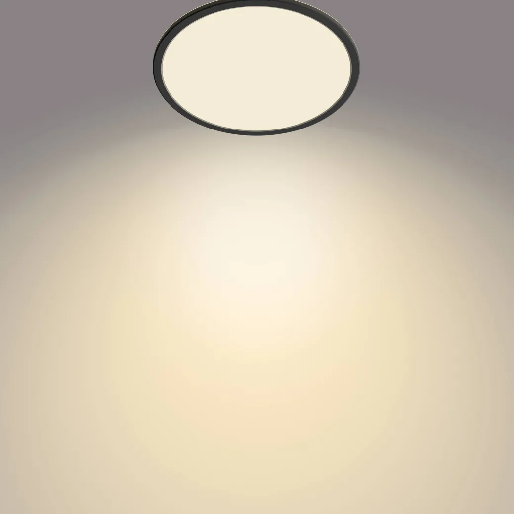 Philips Plafondlamp Superslim Zwart O30Cm 18W|Brico