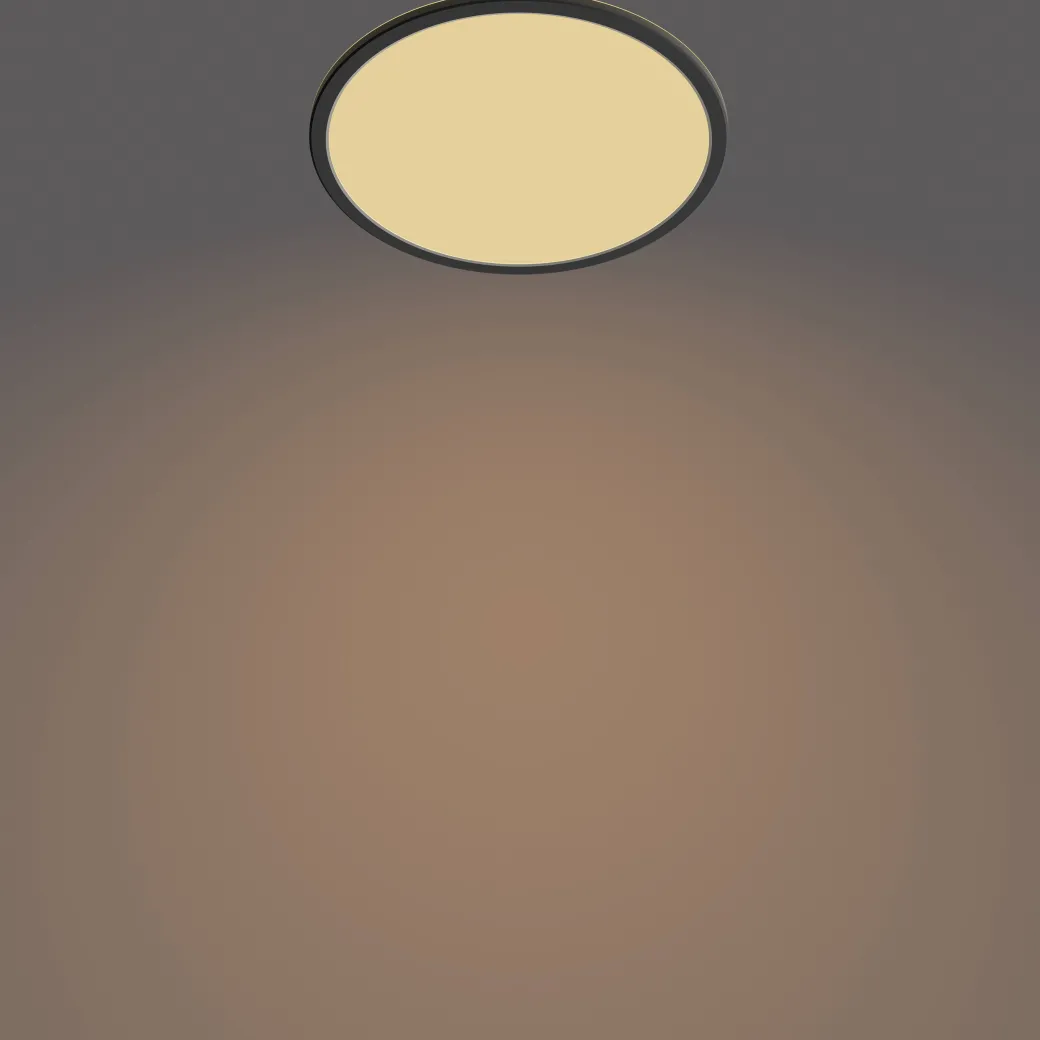 Philips Plafondlamp Superslim Zwart O30Cm 18W|Brico