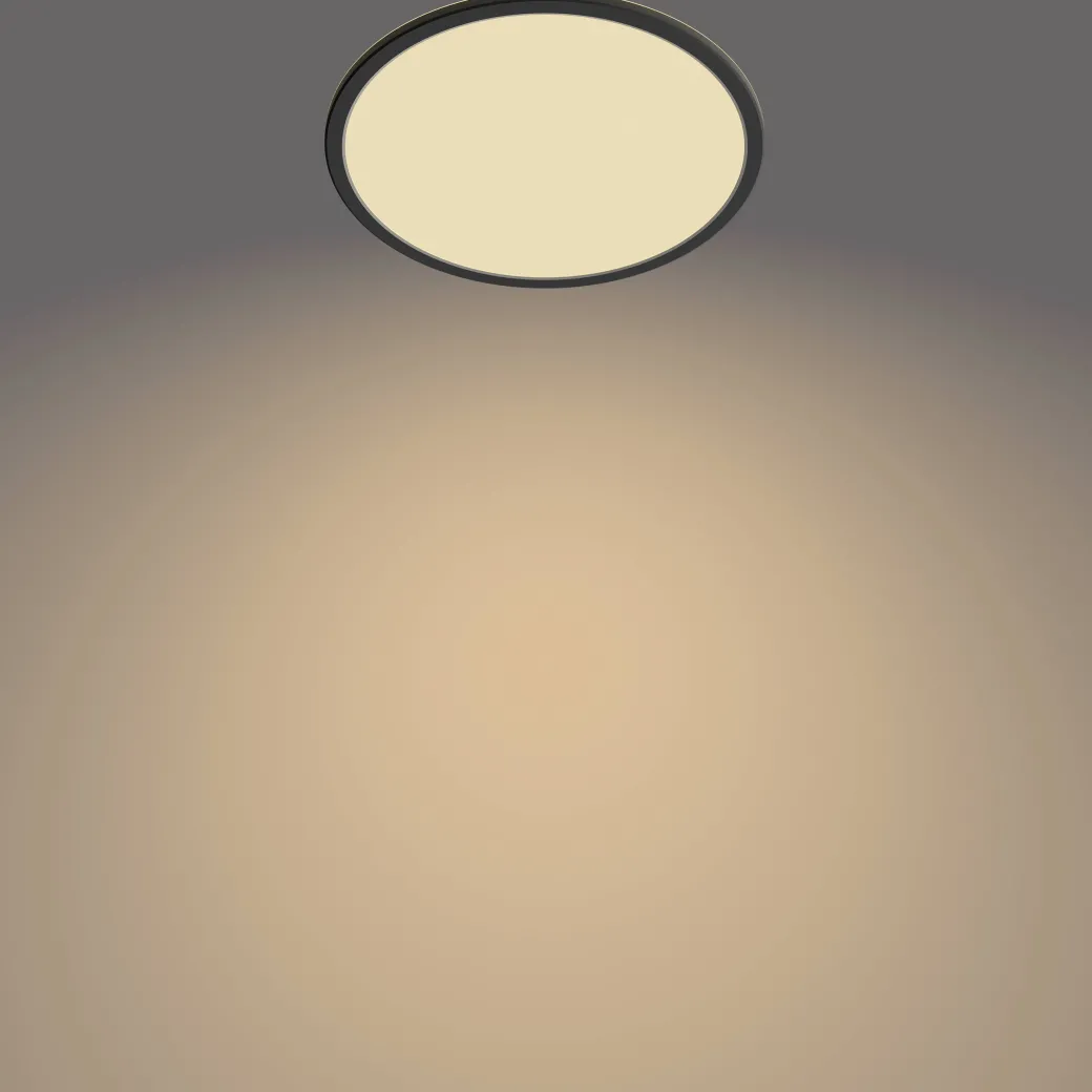 Philips Plafondlamp Superslim Zwart O30Cm 18W|Brico