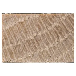 Schaaflat Eiken 12X18Mm 240Cm|Brico Best