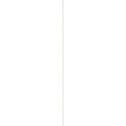 Schaaflat Eiken 5X18Mm 240Cm|Brico Online