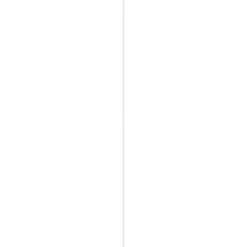 Schaaflat Grenen Gegrond Wit 16X45Mm 270Cm|Brico Best