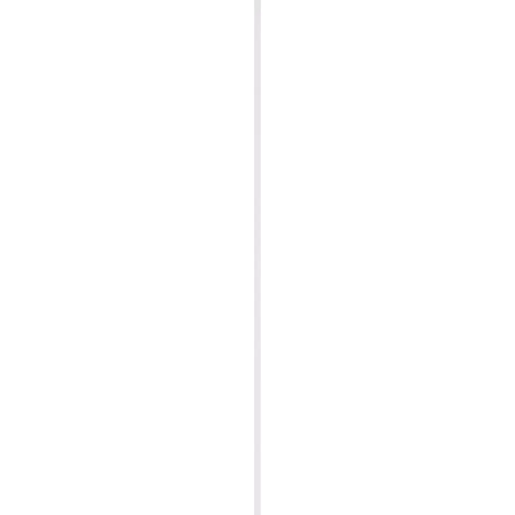 Schaaflat Grenen Gegrond Wit 9,5X28Mm 270Cm|Brico Discount