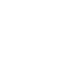 Schaaflat Grenen 4X27Mm 270Cm|Brico Sale