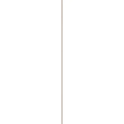 Schaaflat Hardhout 9X117Mm 210Cm|Brico Discount