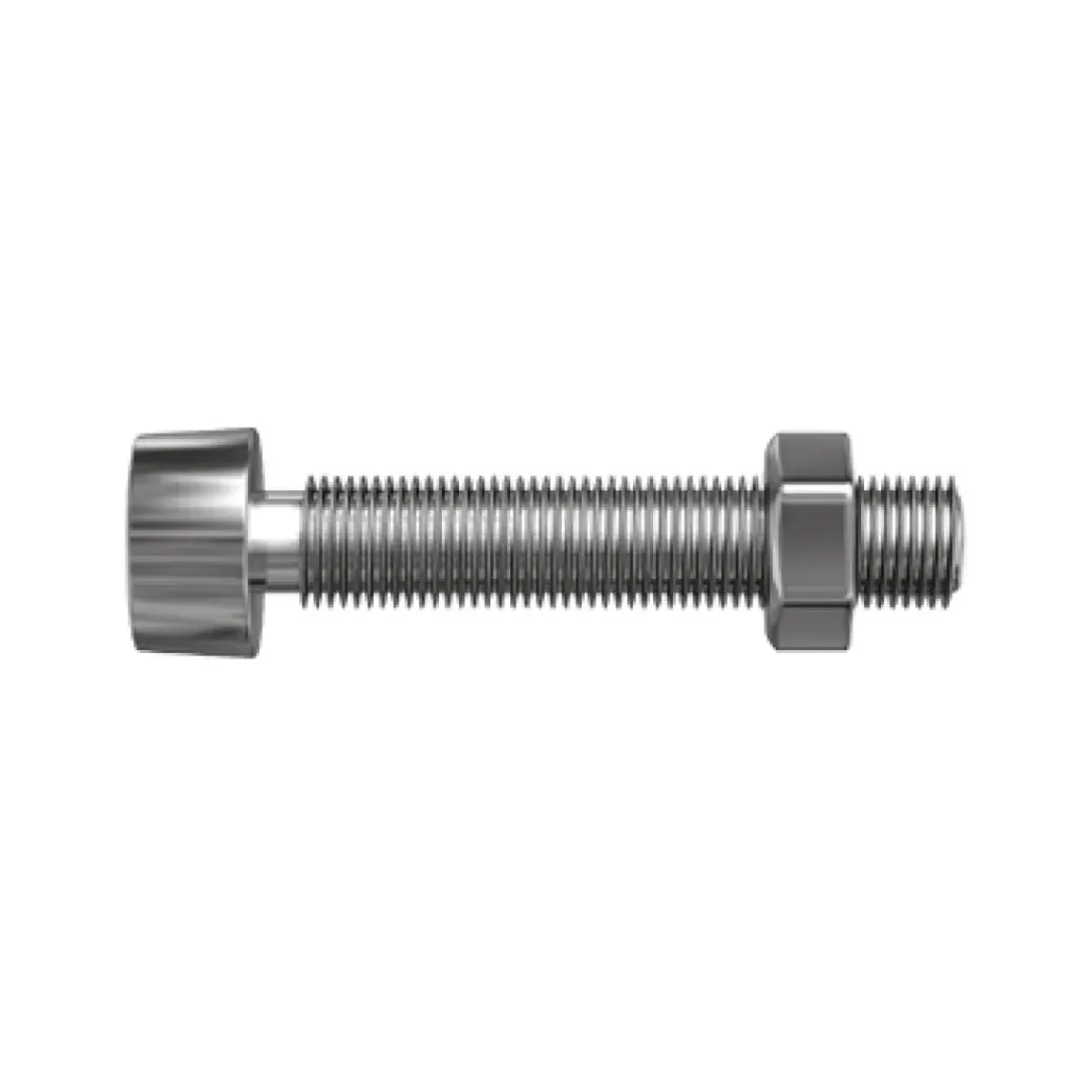 Brico Bouten-Sencys Cilinderkop Bout Gegalvaniseerd Staal M5 X 16 Mm - 15 Stuks