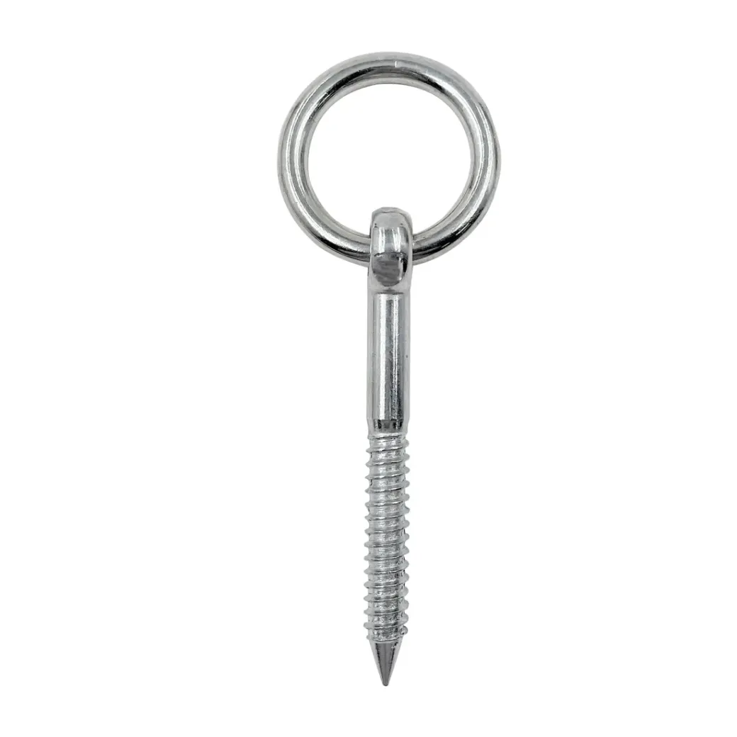 Brico Ringen-Sencys Schroef Met Ring Gegalvaniseerd M12 100Mm